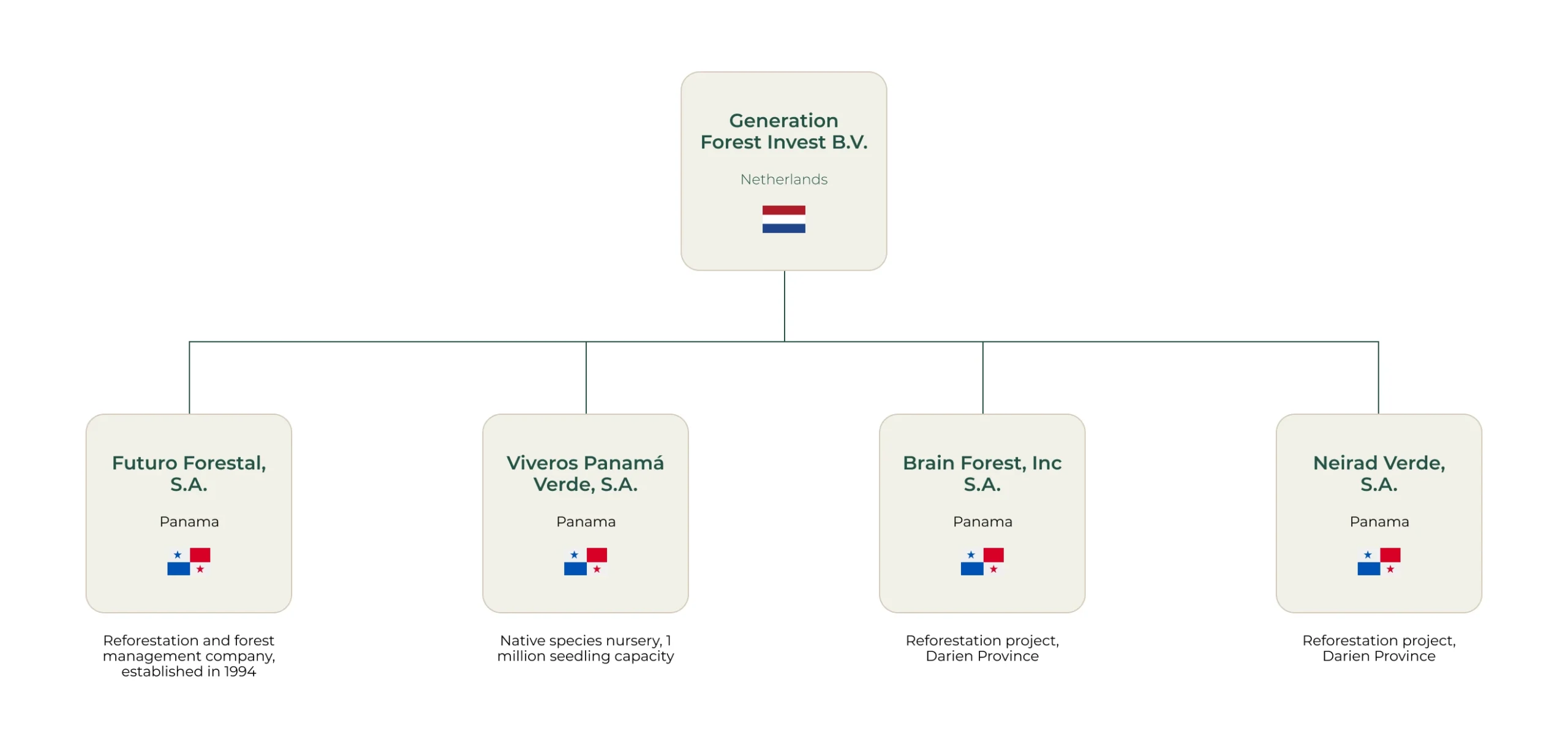 Company Structure Background