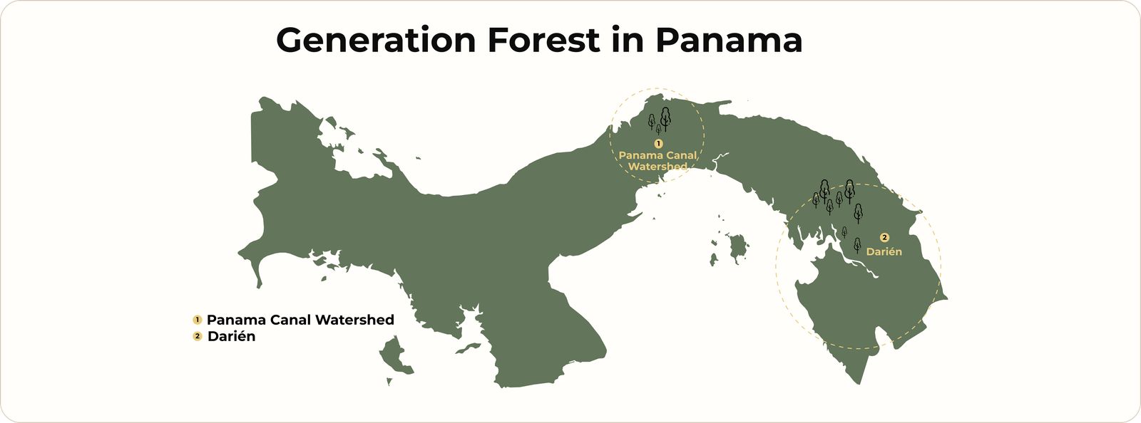 Company Structure Background