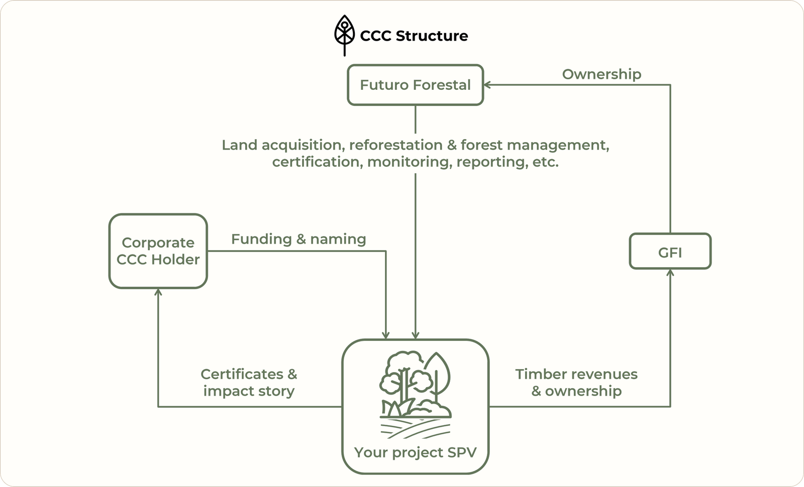 Company Structure Background